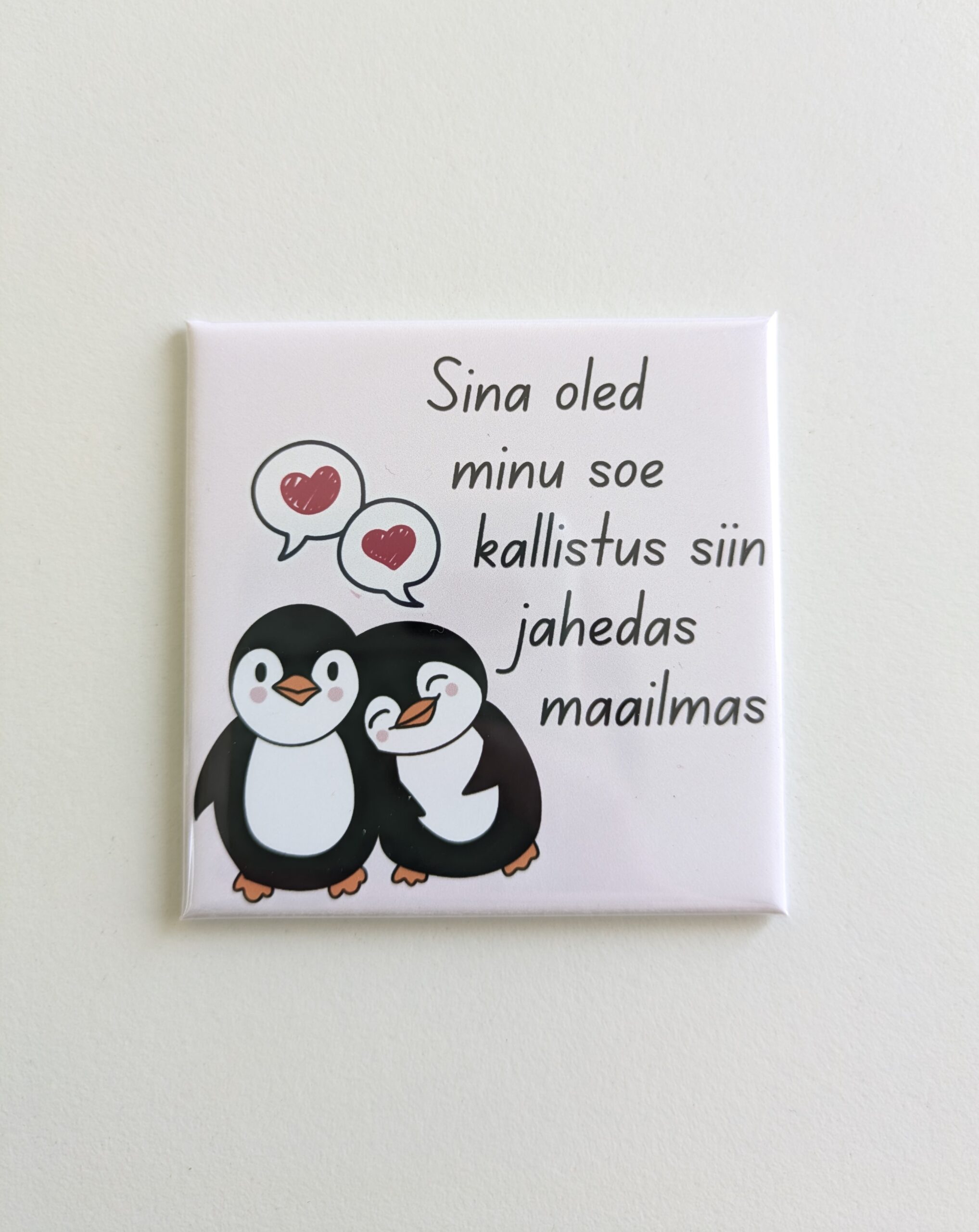 "Sina oled minu soe kallistus siin jahedas maailmas" - Pilt 2